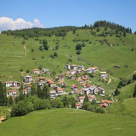 Pensiune Kutsinska House