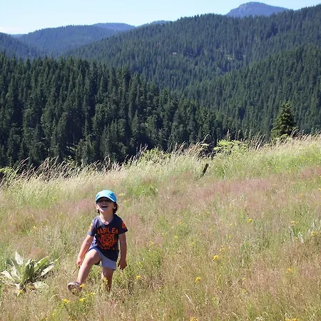 Pensiune Kutsinska House Progled