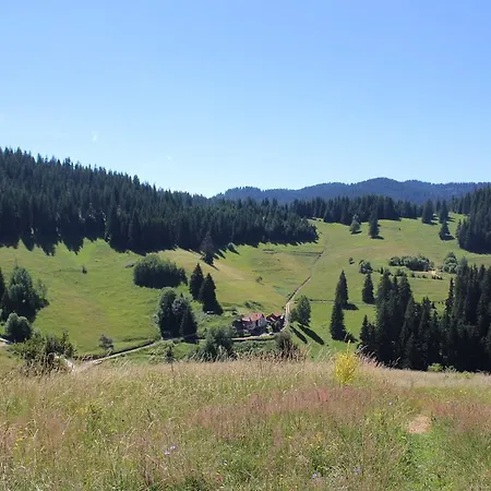 Kutsinska House Progled