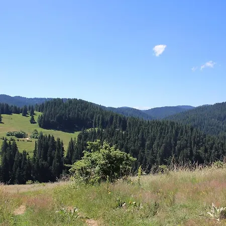 Kutsinska House Progled