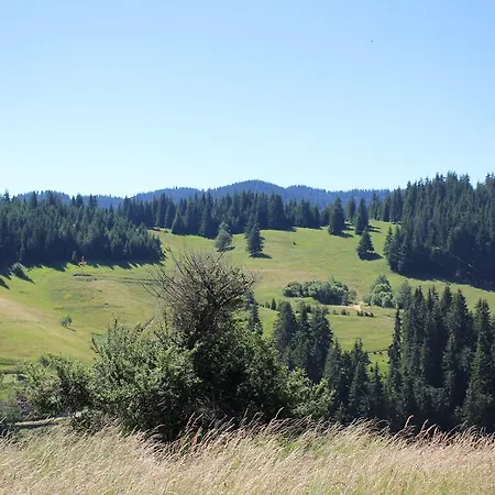 Kutsinska House Progled