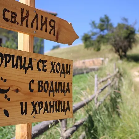 Pensiune Kutsinska House