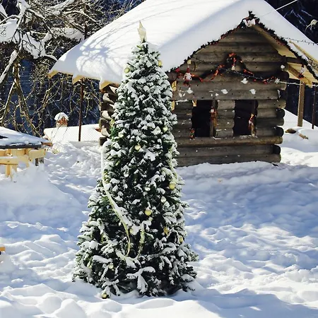 Kutsinska House 3* Progled