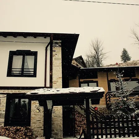 Kutsinska House Progled