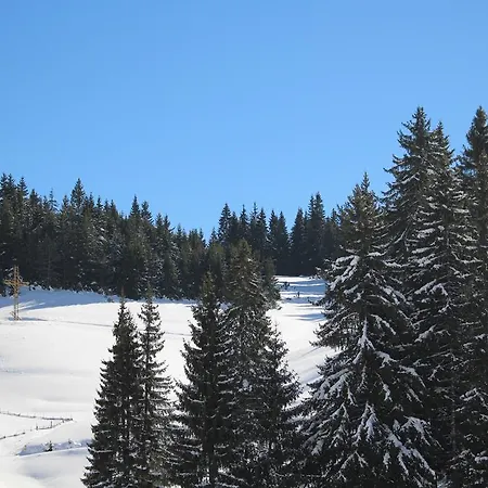 Kutsinska House Pensiune