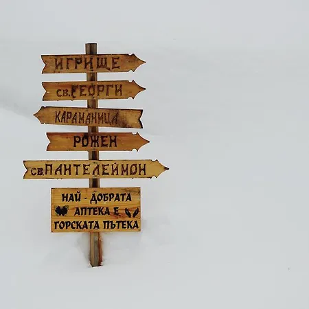 Affittacamere Kutsinska House