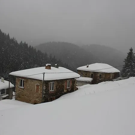 Kutsinska House 4* Проглед