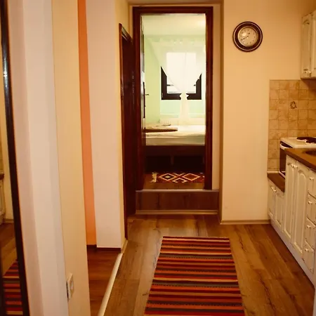 Pensiune Kutsinska House 4*