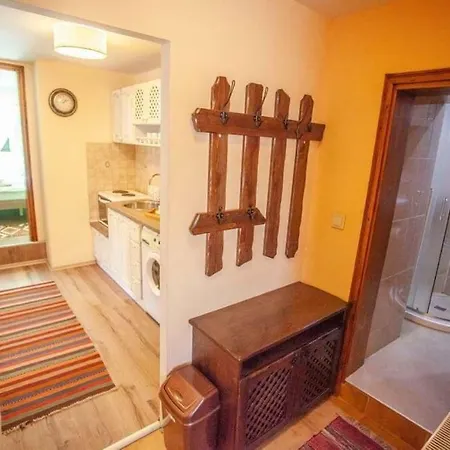 Pensiune Kutsinska House